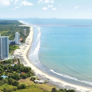 Комплекс апартаментів “Королівська пальма” Фото - 4
